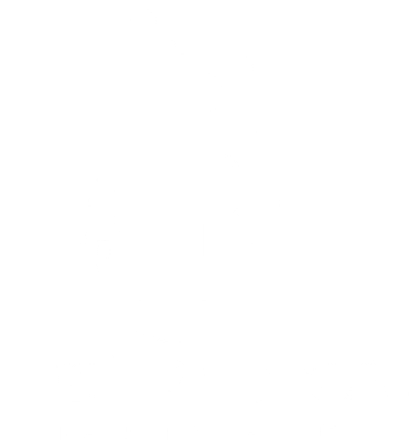 Traffic Boost Marketing Agency